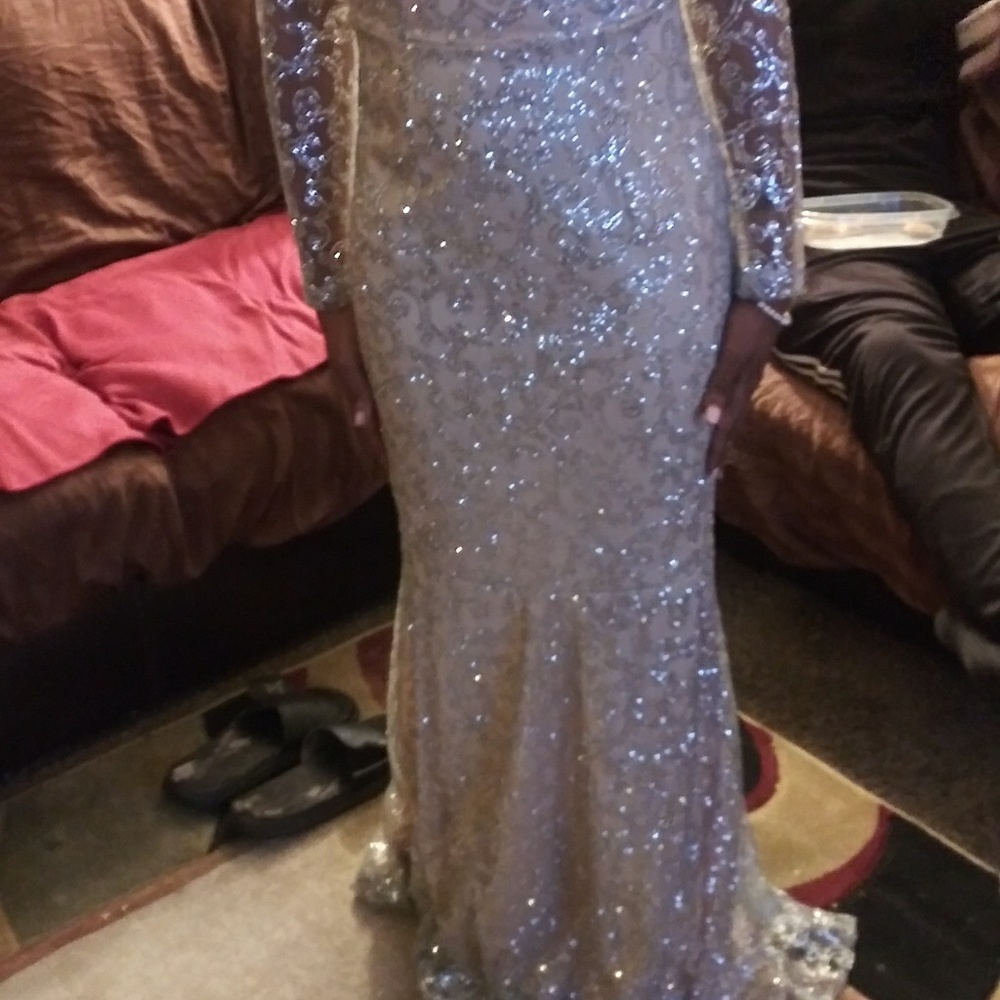 Silver Prom/Wedding Dress - Picture 3 of 3